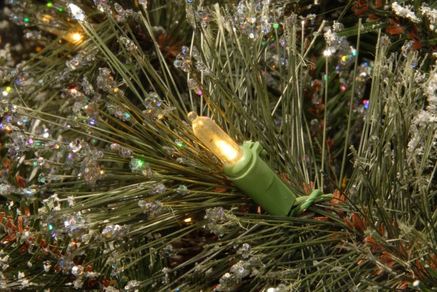 Greenery | National Tree Company 10\ Glittery Bristle Pine Sleigh with White Tipped Cones F2L4F441